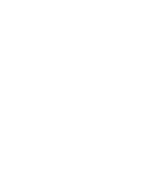 Alex Tile Master